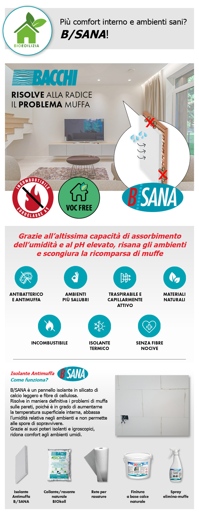 Risanamento Bacchi